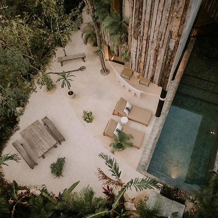 Esencia Villas تولوم المظهر الخارجي الصورة
